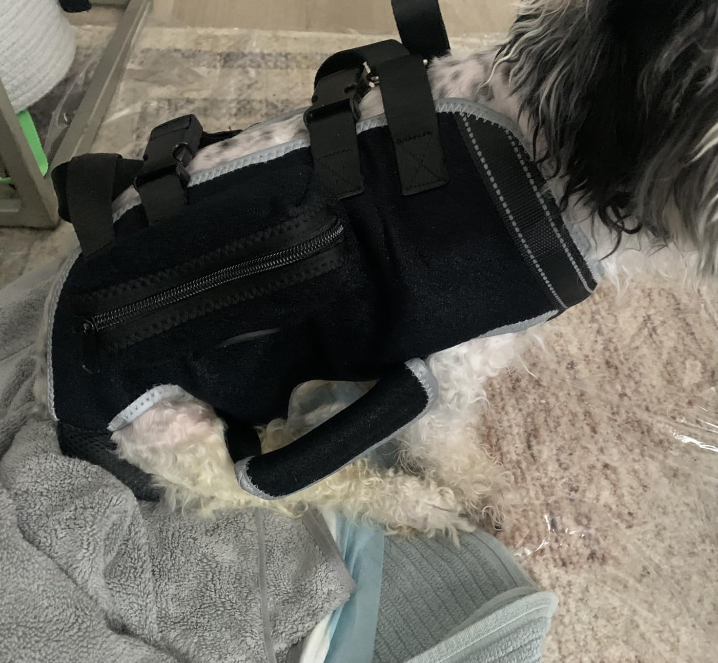 Dog Lift Harness with Handle review Ahyjn