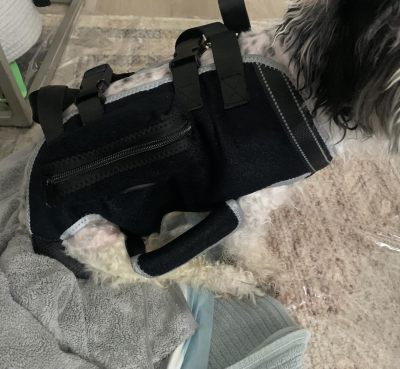 Dog Lift Harness with Handle review