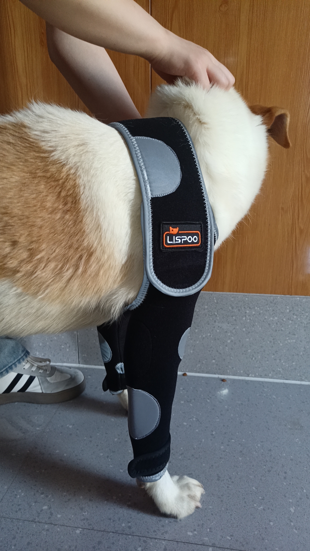 Anti-Lick Elbow Sleeves for Dogs review Lohgb 02