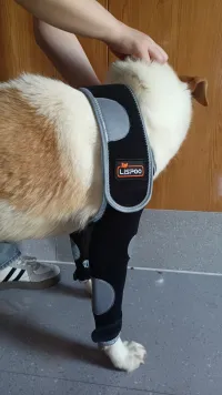 Anti-Lick Elbow Sleeves for Dogs review 1