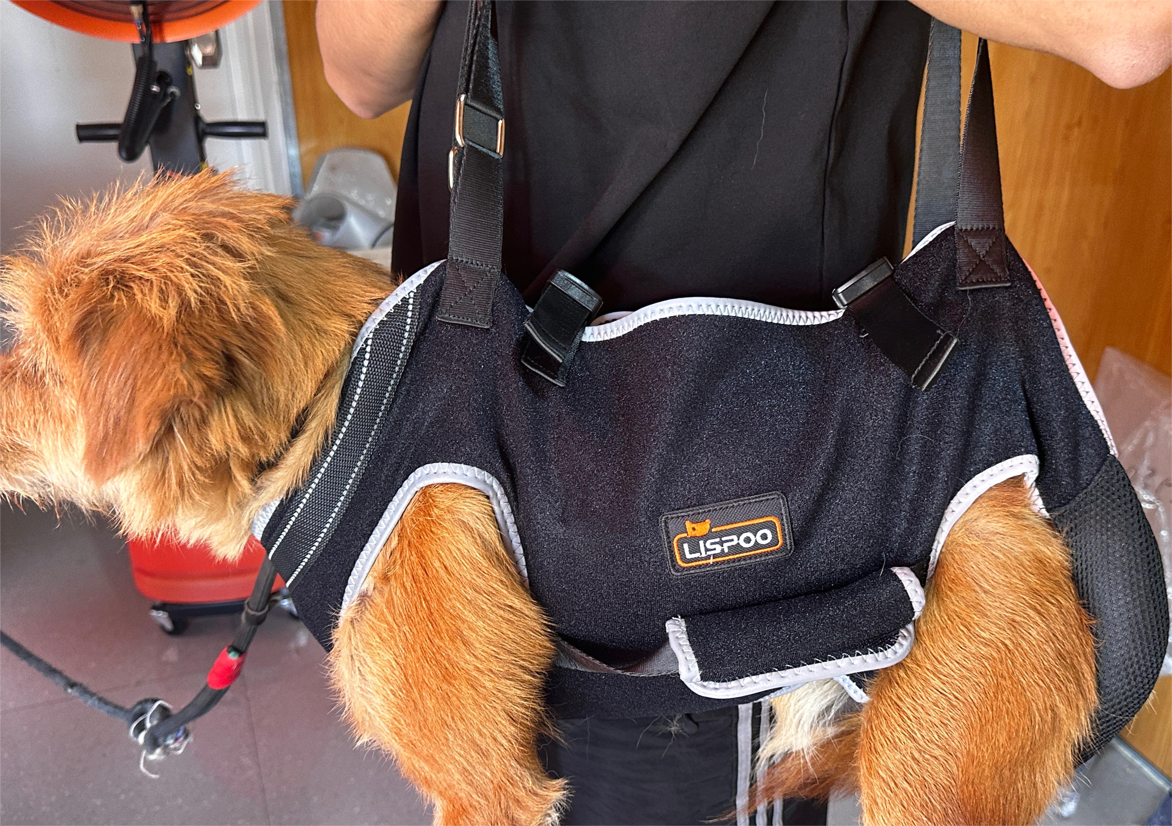 Dog Lift Harness with Handle review Wejna 01