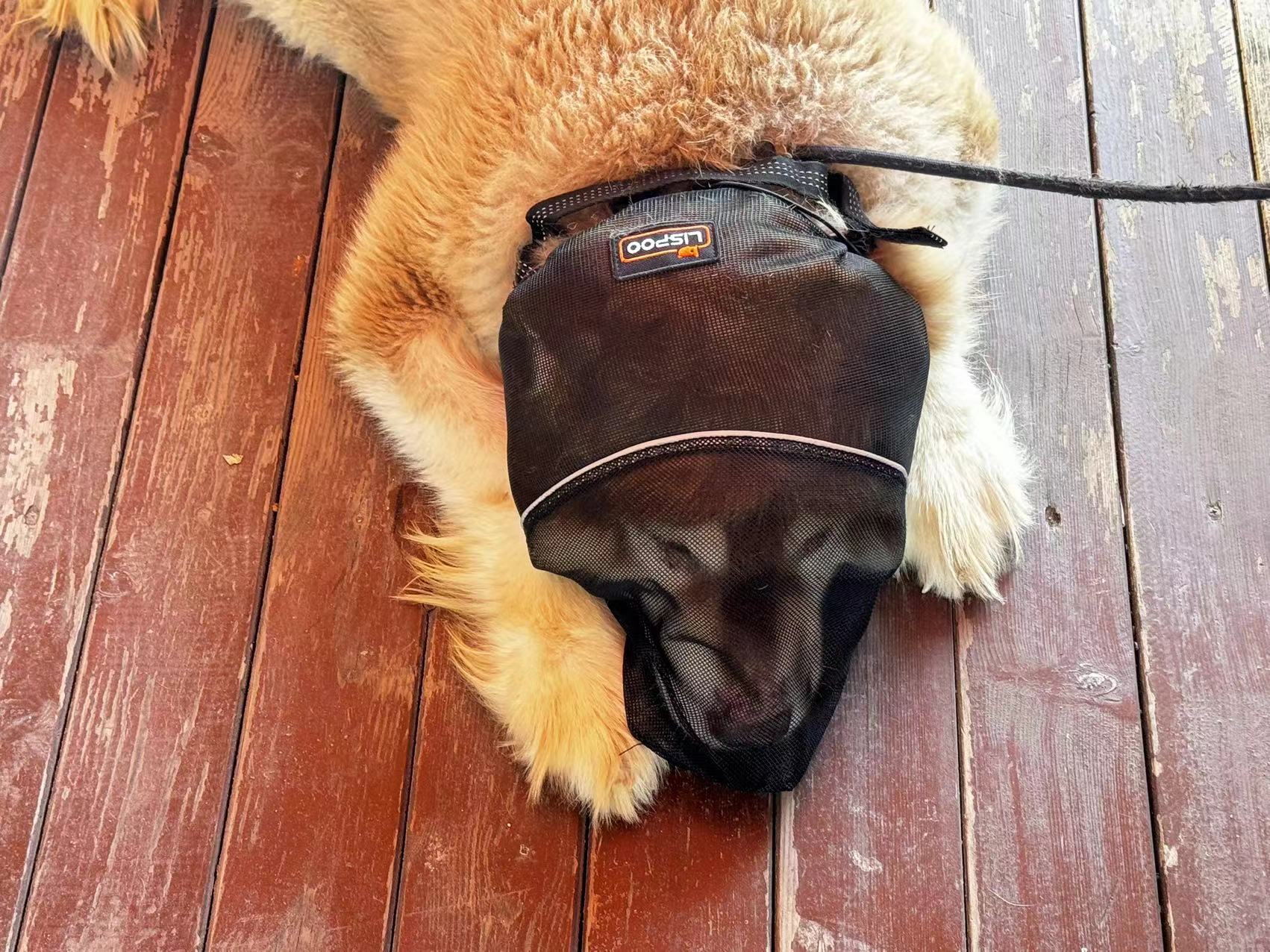 Field Guard Head Protector for Dogs review Anner 02