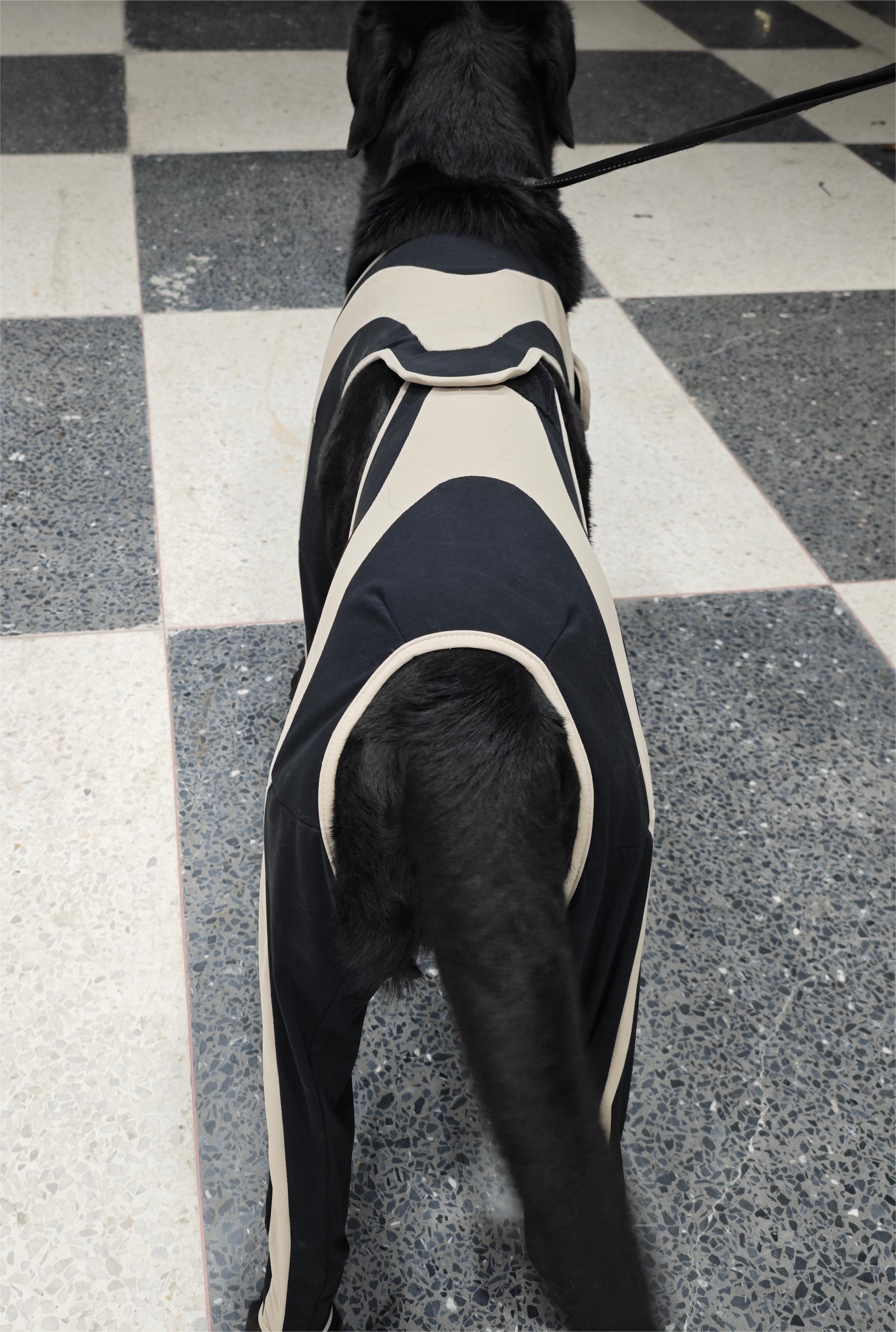 Licking Sleeve for Dogs review Hirsch 03