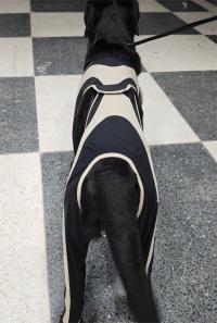 Licking Sleeve for Dogs review 2