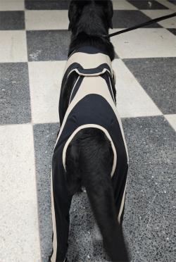 Licking Sleeve for Dogs review Hirsch 03