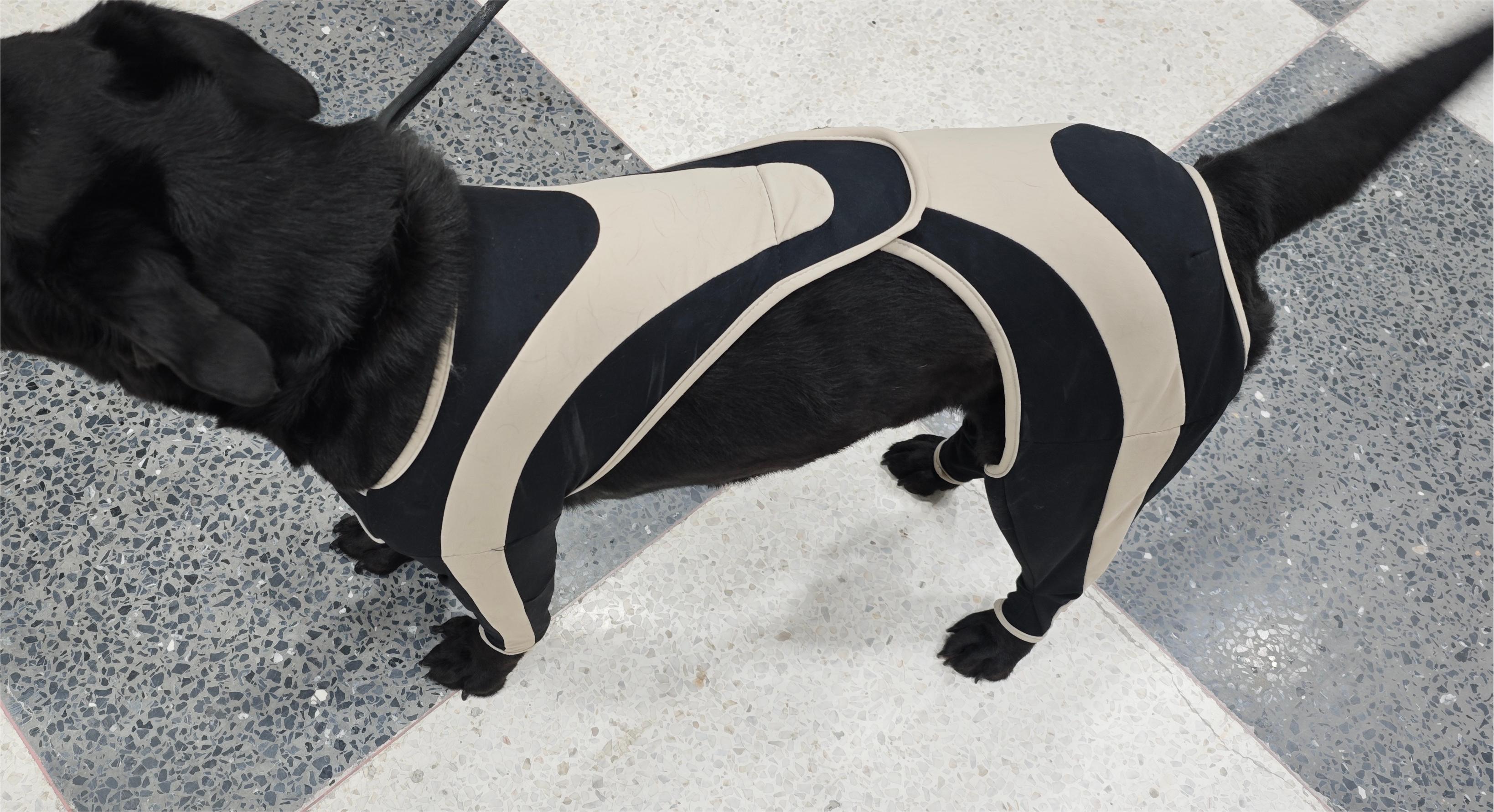 Licking Sleeve for Dogs review Hirsch 04