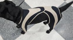 Licking Sleeve for Dogs review Hirsch 04