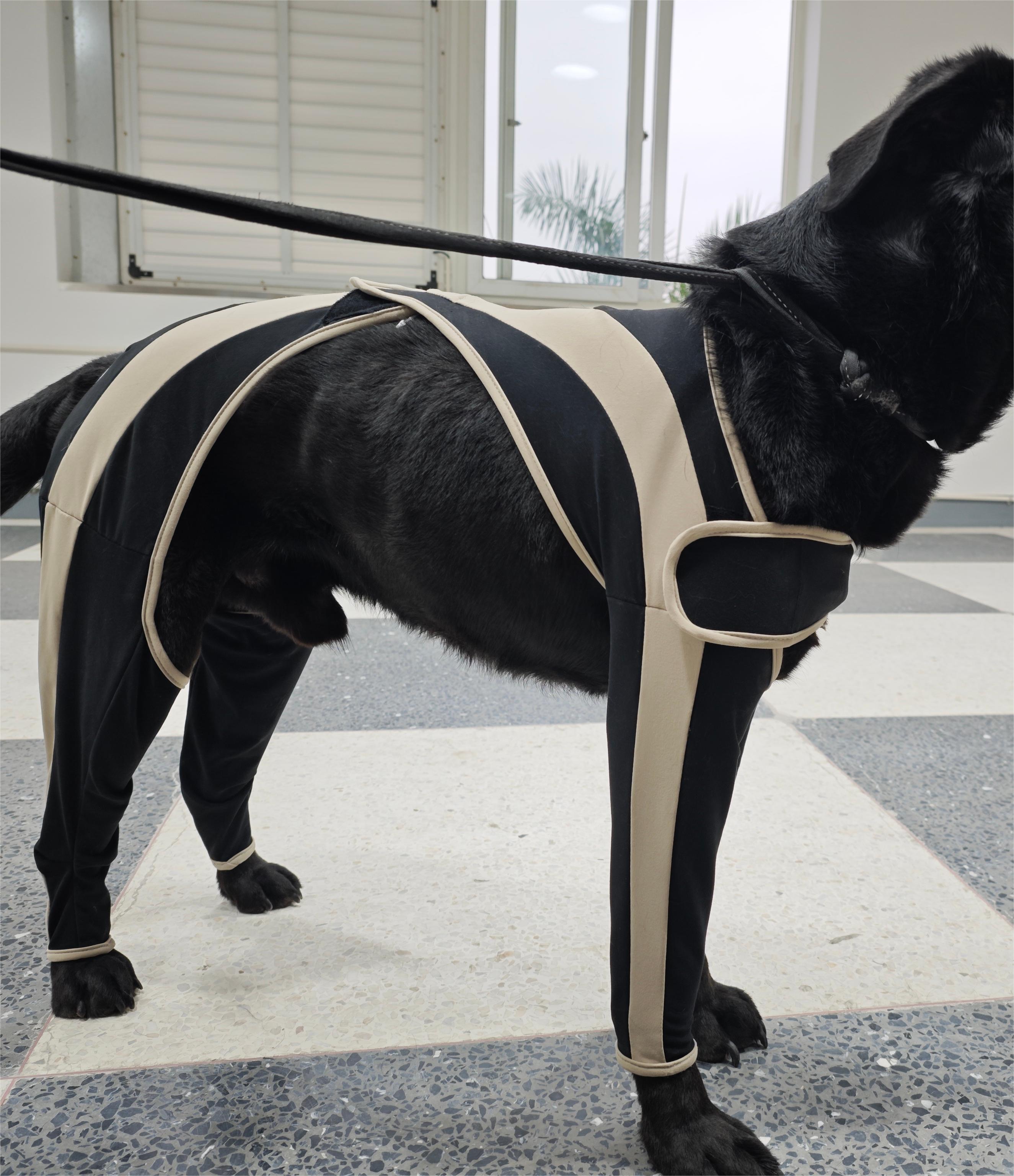 Licking Sleeve for Dogs review Hirsch 02