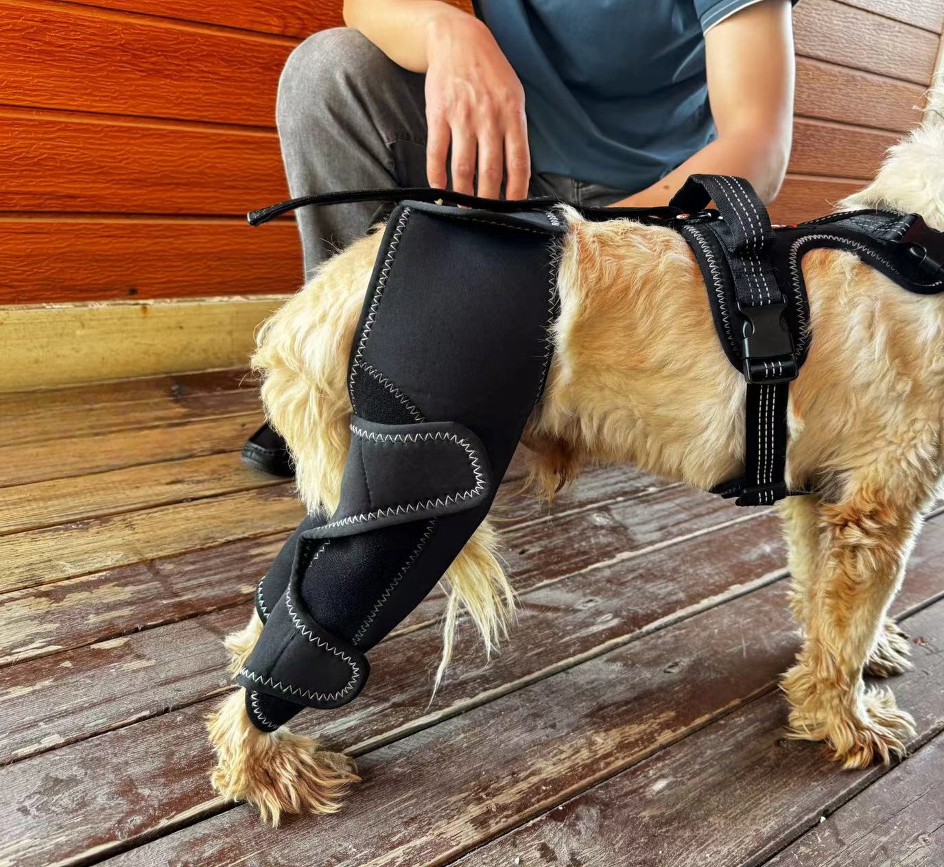 Dog Knee Brace for Back Leg Torn CCL review Anemi 01