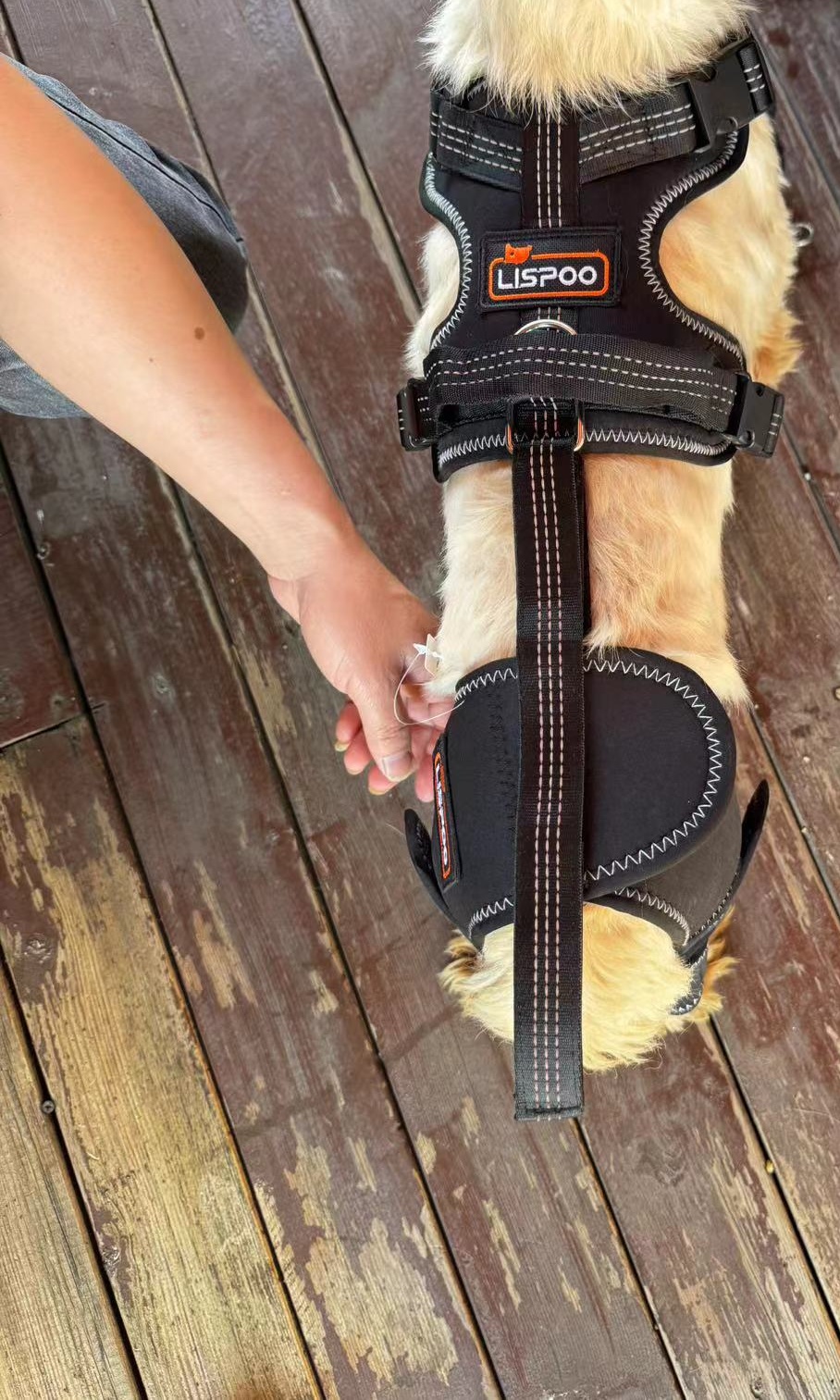 Dog Knee Brace for Back Leg Torn CCL review Anemi 02