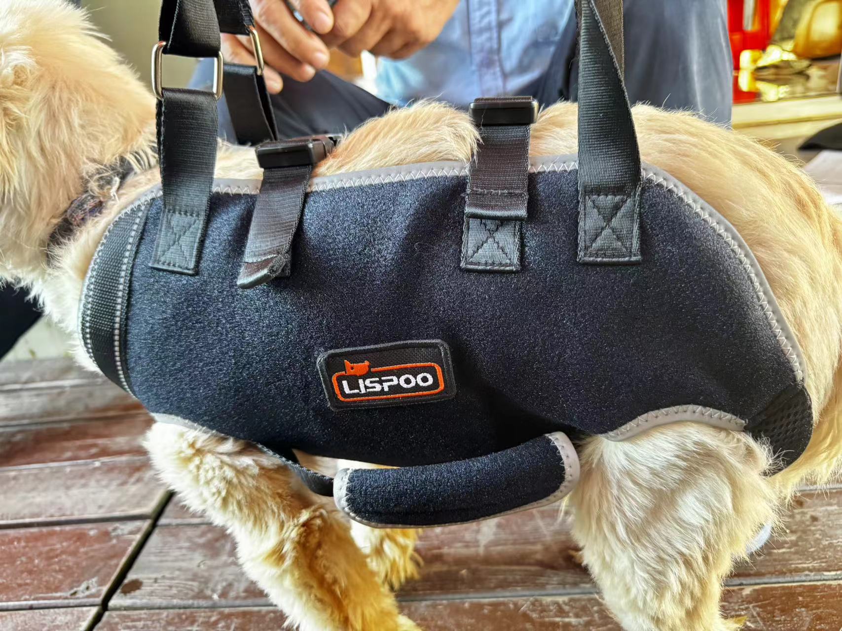 Dog Lift Harness with Handle review Out