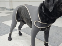 Anti Licking Full Body Dog Suit review 1