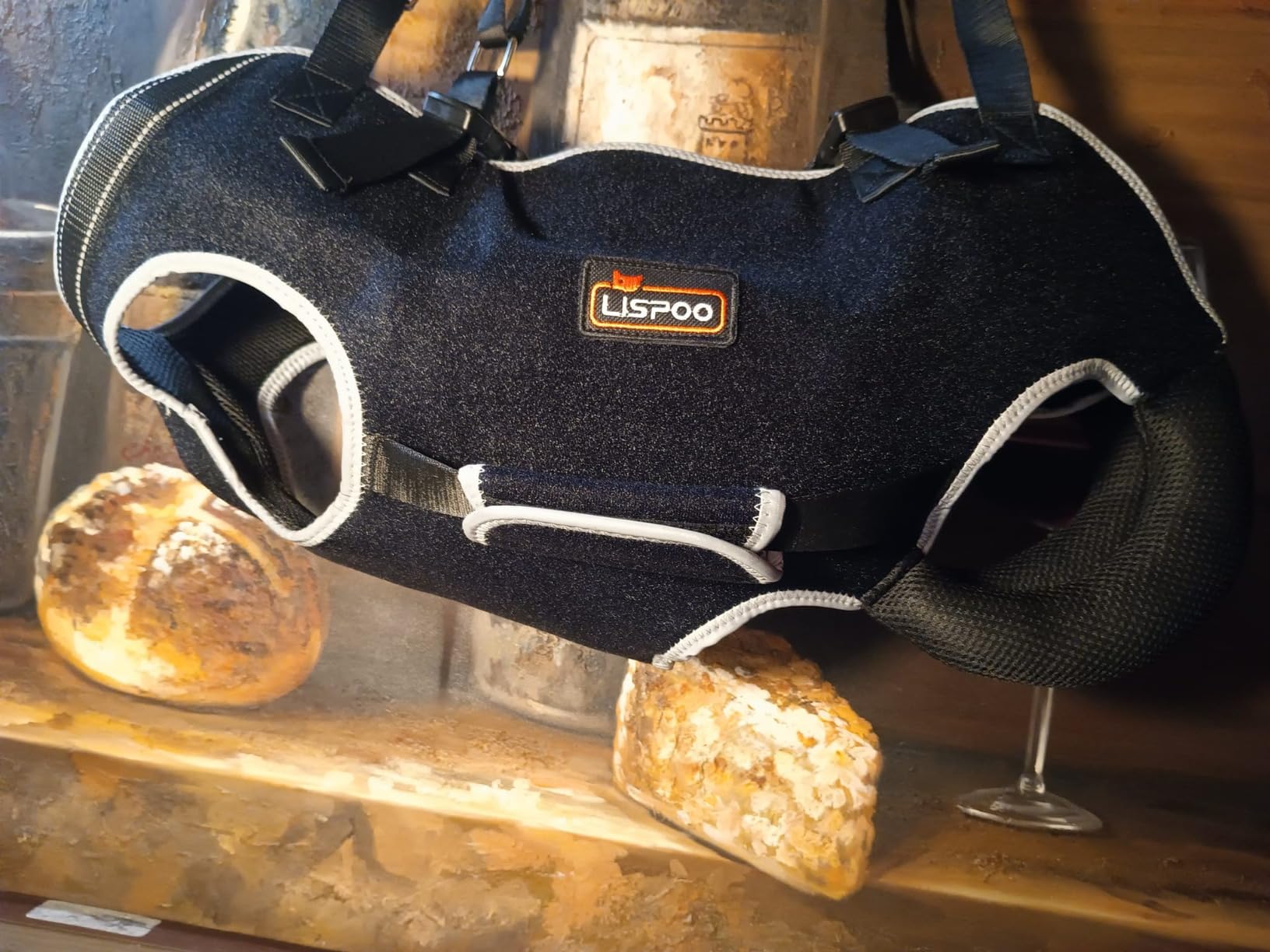 Dog Lift Harness with Handle review Winni Sweet