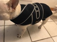 Dog Back Brace for IVDD review 2