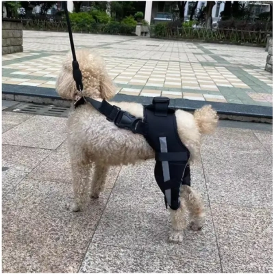 Hinged Dog Double Leg Brace review 