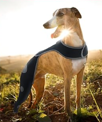 Licking Sleeve for Dogs Hind Leg review Joyce Bob