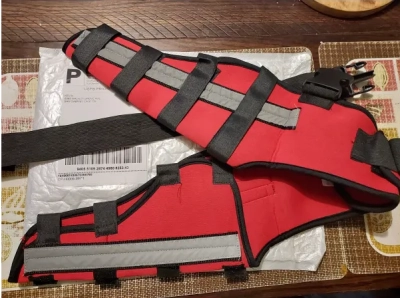 Hinged Dog Double Leg Brace review 