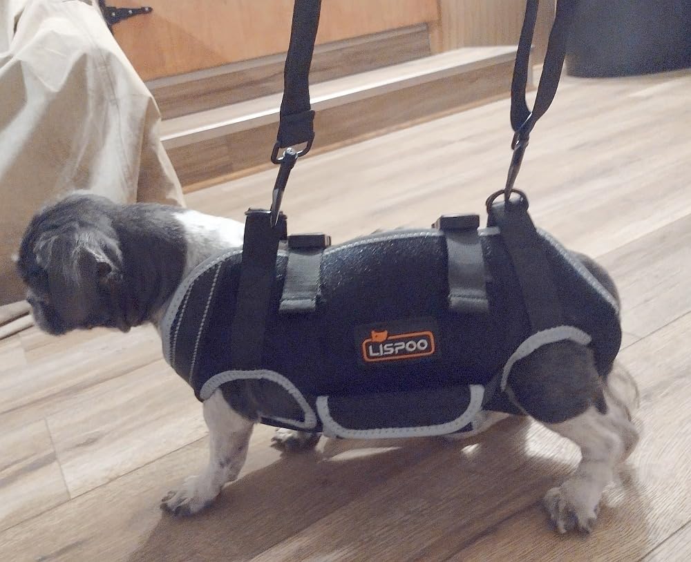 Dog Lift Harness with Handle review Dunn Crane