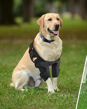 Dog ACL Knee Brace for Injury Recovery review 
