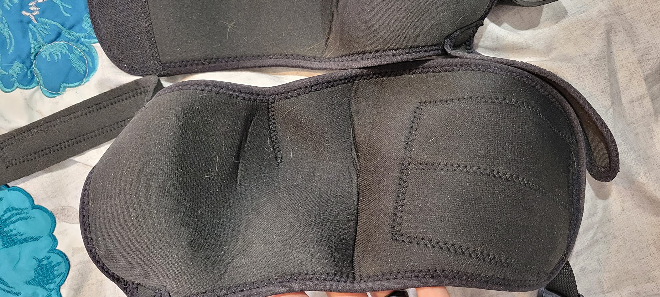 Dog Hip Hound Brace review Margot 03