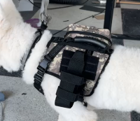 Tactical Harness for Dogs for Outdoor Sports review 0