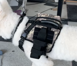 Tactical Harness for Dogs for Outdoor Sports review Yehudi Sophia 01