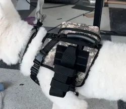 Tactical Harness for Dogs for Outdoor Sports review Yehudi Sophia 01