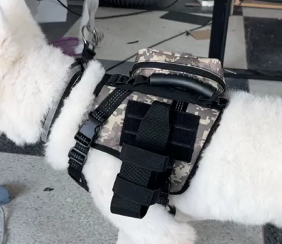Tactical Harness for Dogs for Outdoor Sports review 
