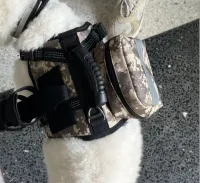 Tactical Harness for Dogs for Outdoor Sports review 1