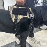 Tactical Harness for Dogs for Outdoor Sports review 1