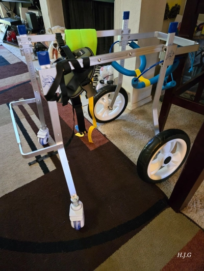 Lightweight Quad Wheelchair for Small Dogs review 