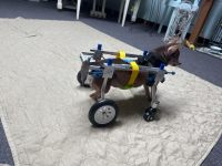 Lightweight Quad Wheelchair for Small Dogs review 0