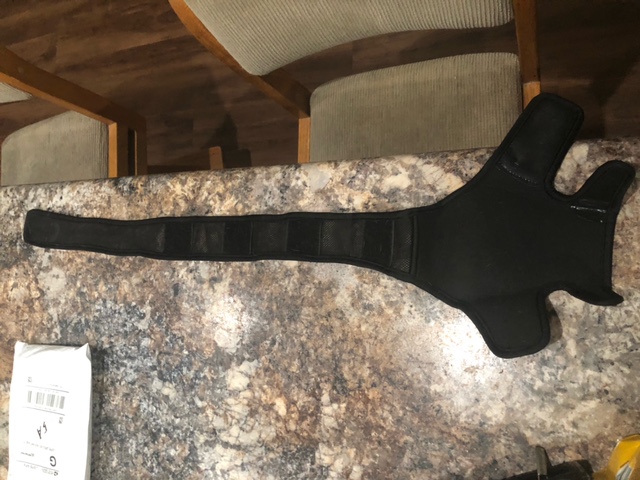 Dog Knee Brace For Torn Acl review Merlin Minnie