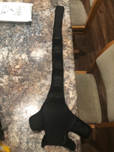 Dog Knee Brace For Torn Acl review 