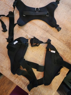 Golden Retriever Double Hind Leg Hinged Knee Brace review Ian Emily 02