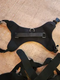 Golden Retriever Double Hind Leg Hinged Knee Brace review 2
