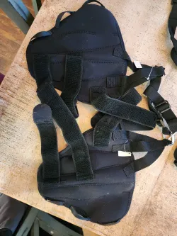 Golden Retriever Double Hind Leg Hinged Knee Brace review Ian Emily 01