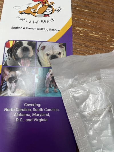 Dog Hip Support Brace for Dysplasia review 