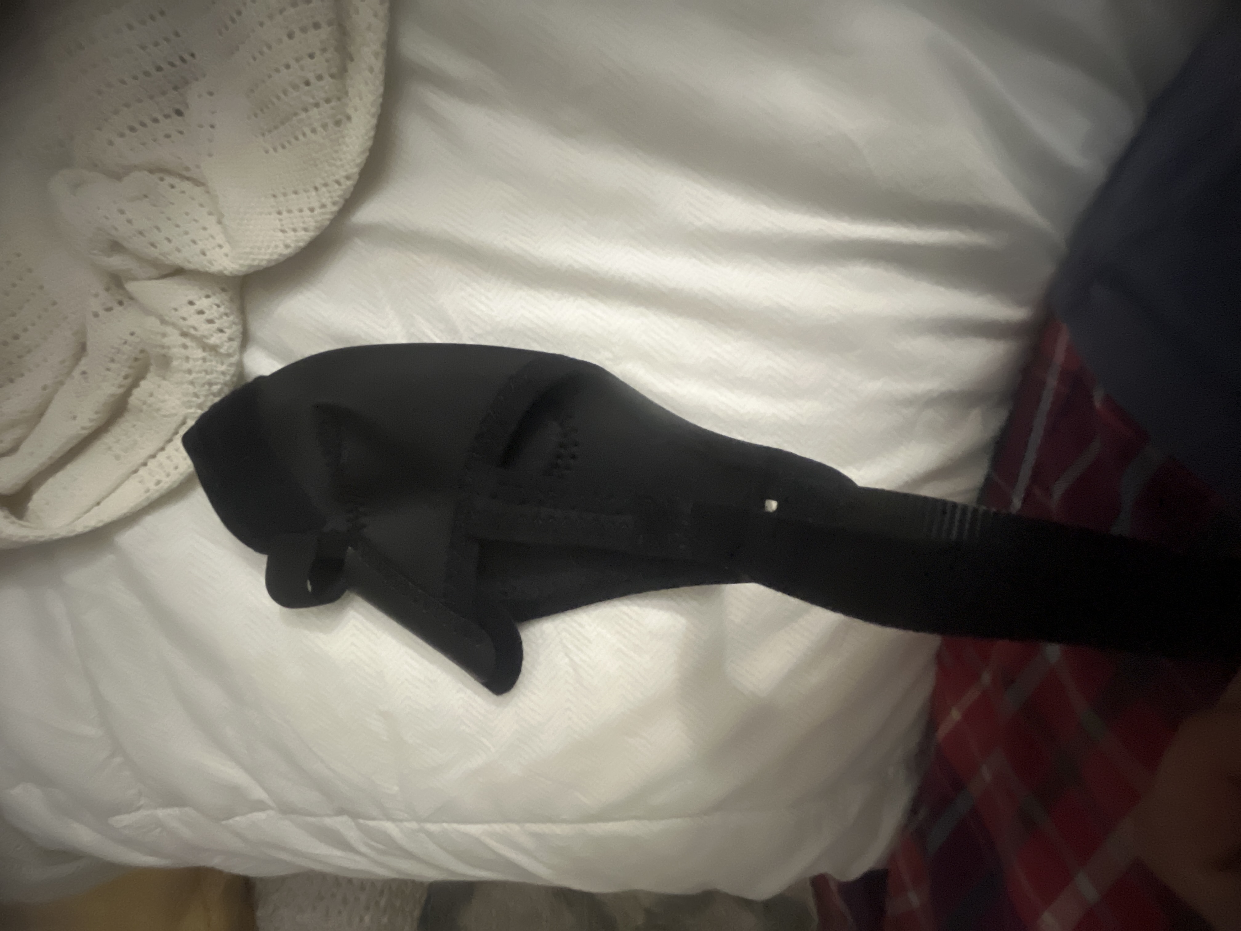 Adjustable Dog Acl Brace review Monroe Ulysses 02