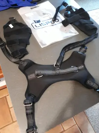 Dog Torn Acl Brace review Tiffany Partridge 02