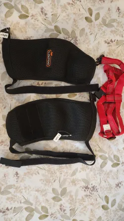 Dog Hip Dysplasia Brace review Jeff Sainsbury 03