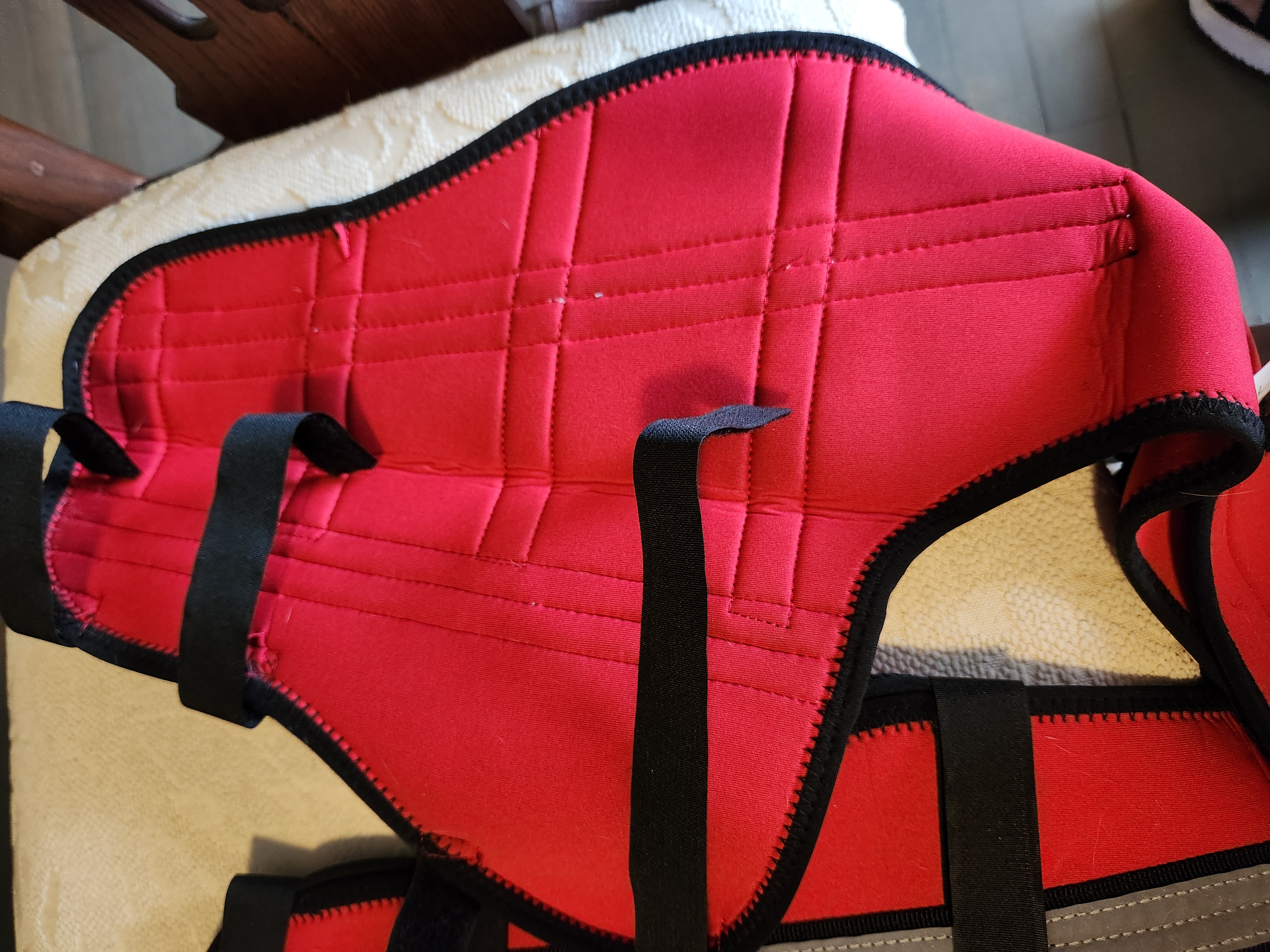 Hinged Dog Double Leg Brace review 1