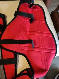 Hinged Dog Double Leg Brace review 1