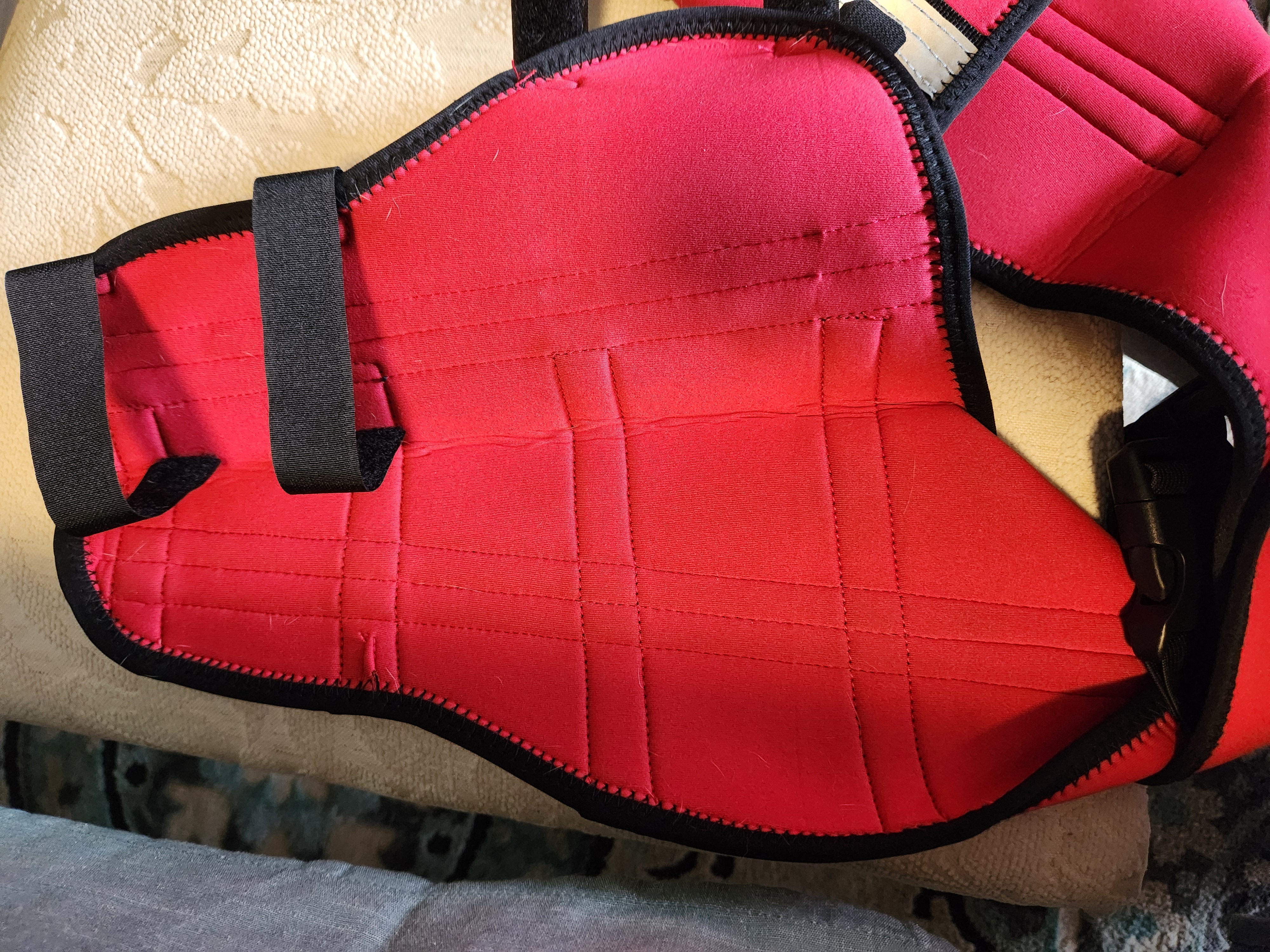 Hinged Dog Double Leg Brace review 2