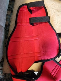 Hinged Dog Double Leg Brace review 2