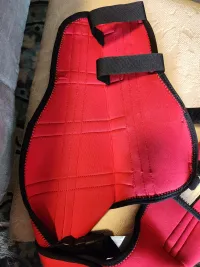Hinged Dog Double Leg Brace review 2