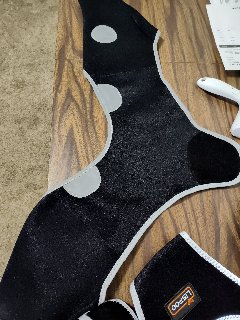 Licking Sleeve for Dogs Hind Leg review Tyler Raleign 01