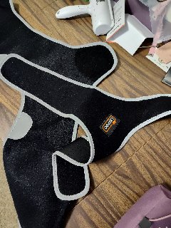 Licking Sleeve for Dogs Hind Leg review Tyler Raleign 02