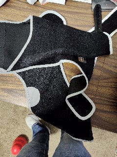 Licking Sleeve for Dogs Hind Leg review Tyler Raleign 03