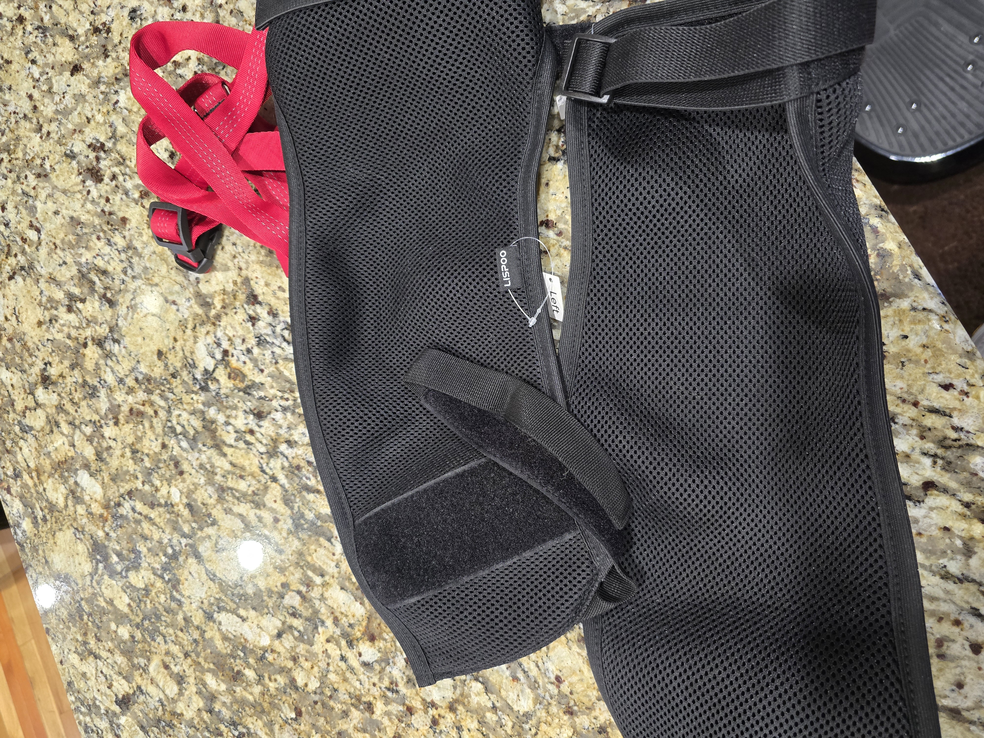 Dog Hip Dysplasia Brace review Rachel Armstrong